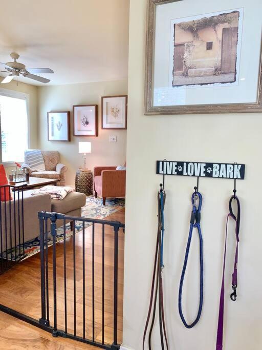 The Comforts' Inn: Mountain Escape Mountainaire Extérieur photo