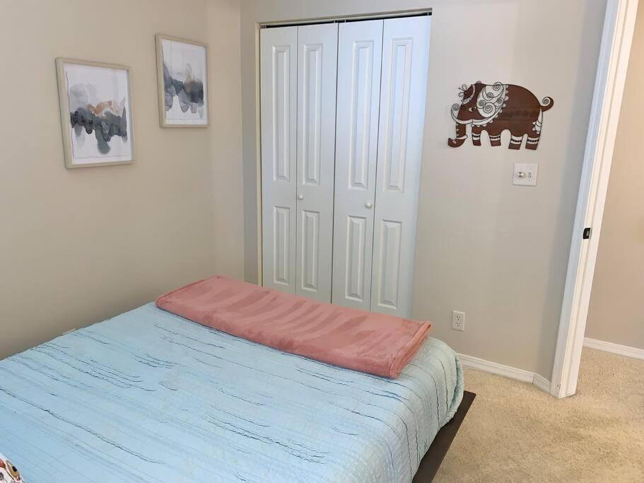 The Comforts' Inn: Mountain Escape Mountainaire Extérieur photo